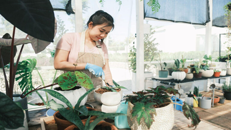 Add Some Splash Of Color To Your Apartment Balcony With These Easy To Grow Plants