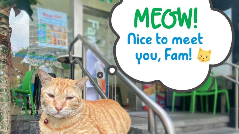 Meet the fluffiest and cutest addition to the FamilyMart Udenna Tower store