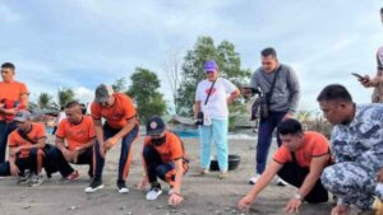 Philippine Coast Guard Releases 50 Endangered Sea Turtles In Naic, Cavite