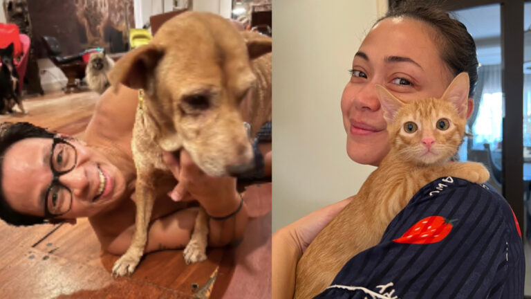 Loving Beyond The Breed: Jodi Sta. Maria and Kim Atienza’s Love For Stray Animals