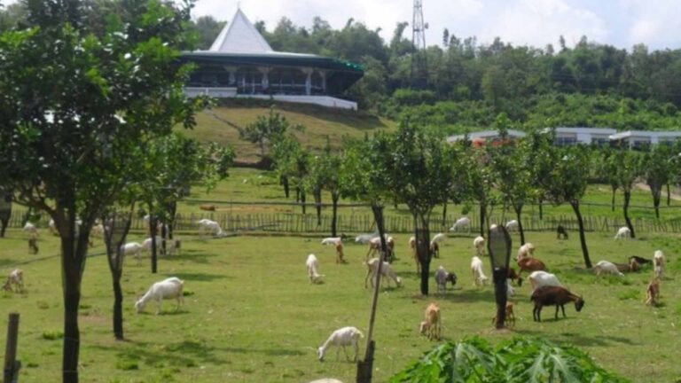 Iloilo Eyes To Build More DOT-Accredited Farm Tourism Sites