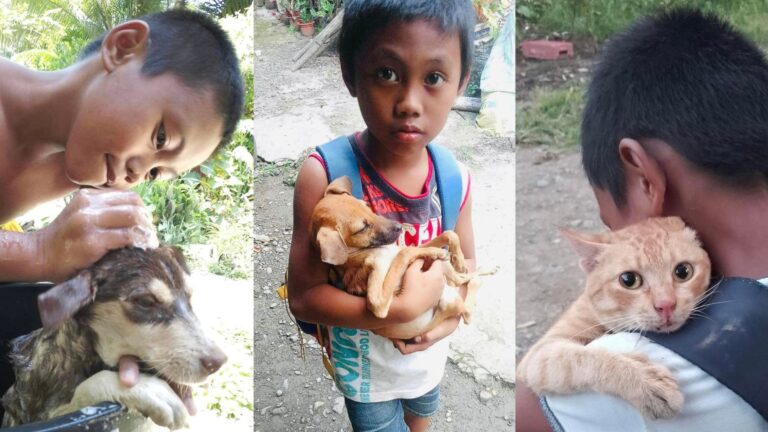 Child From Agusan Del Sur Compassionately Shares Home With Adopted Cats And Dogs