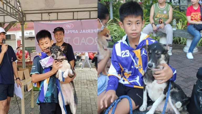 Child’s Rescued Dog Wins The ‘Canine Companion’ Award During The Animal Welfare Week