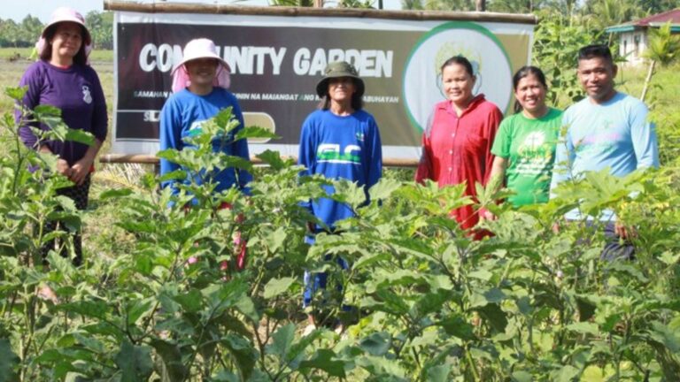 Former TUPAD Beneficiaries In Calapan City Now Agri-Entrepreneurs